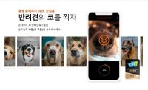 【手機交友APP推薦】比寵物晶片更快、更方便，南韓新創推「狗鼻子掃描 App」1 秒找到主人